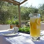Asplathia Lefkada Spanokhórion